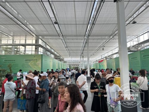 農(nóng)博會之旅 探訪科技小院，體驗農(nóng)業(yè)新質(zhì)生產(chǎn)力與教育科技的融合